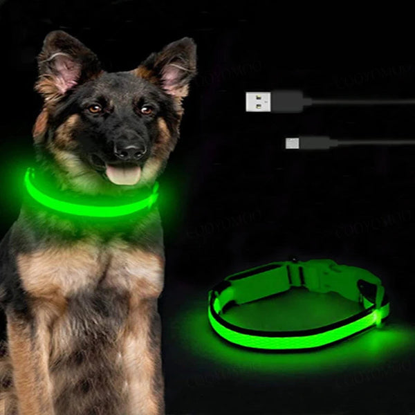 USB Rechargeable LED Dog Collar - 3 Light Modes for Night Walks