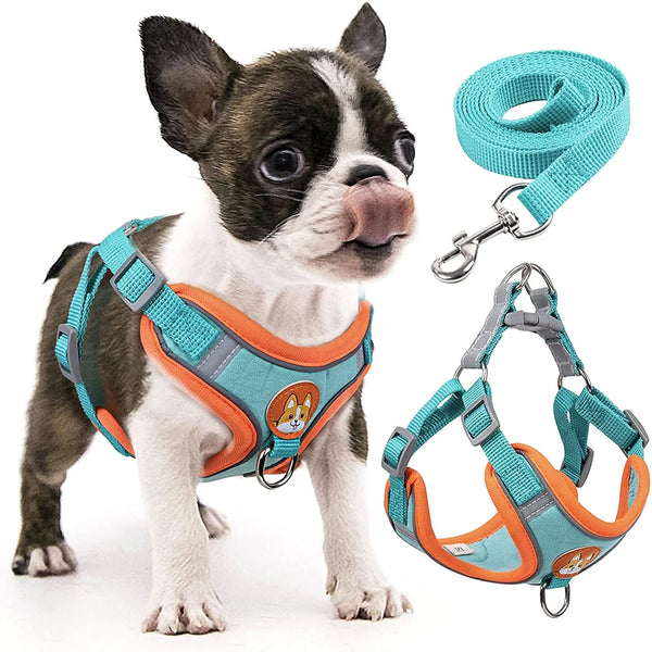Step-In Dog Harness and Leash Set - Soft Reflective Vest