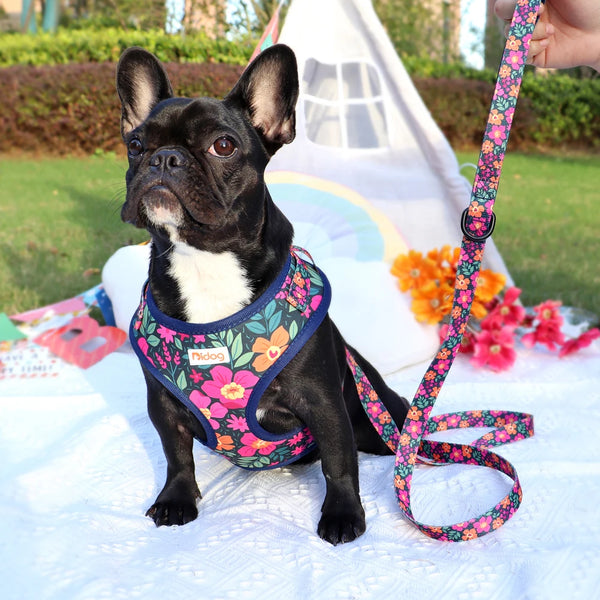 Printed Mesh French Bulldog Harness and Leash Set - Adjustable Puppy Vest