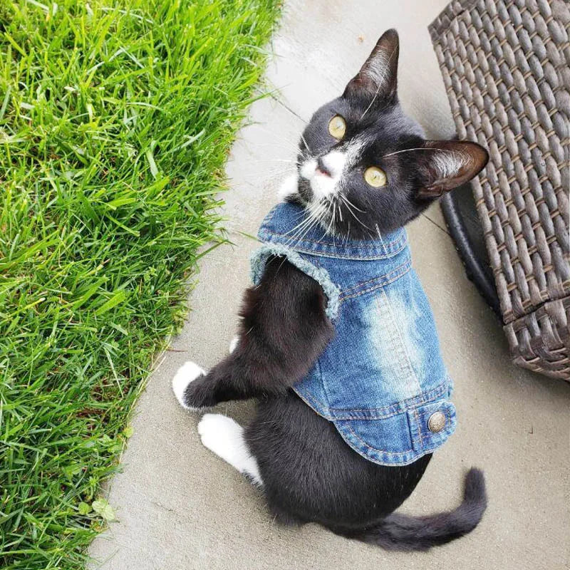 Cat Denim Vest Jacket - Casual Spring Autumn Pet Coat