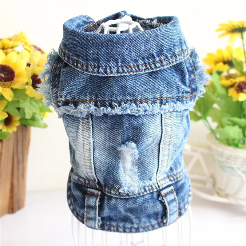 Cat Denim Vest Jacket - Casual Spring Autumn Pet Coat