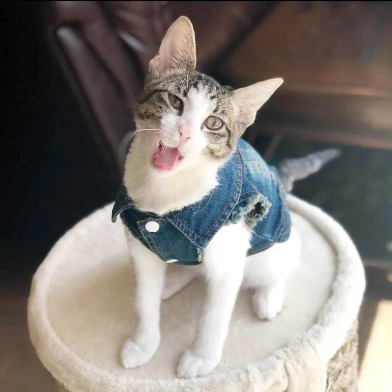 Cat Denim Vest Jacket - Casual Spring Autumn Pet Coat