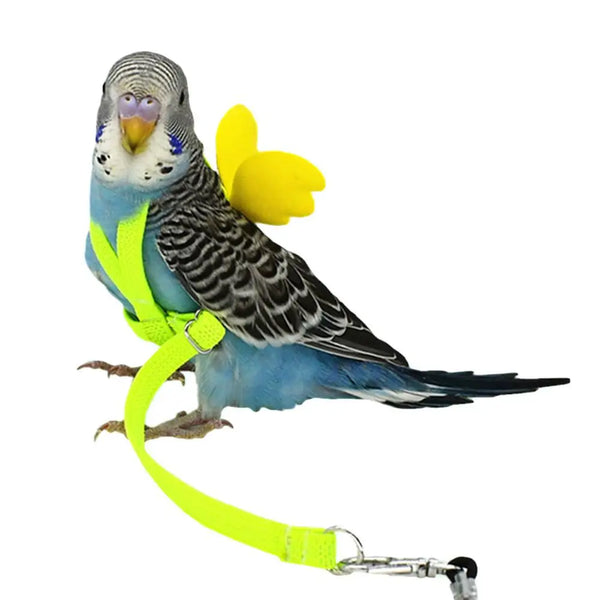 Adjustable Bird Harness & Leash Set - Outdoor Flight Training for Small Parrots