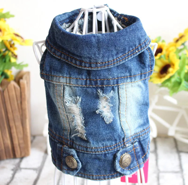 Cat Denim Vest Jacket - Casual Spring Autumn Pet Coat