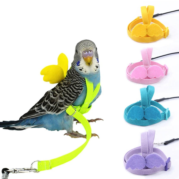 Adjustable Bird Harness & Leash Set - Outdoor Flight Training for Small Parrots