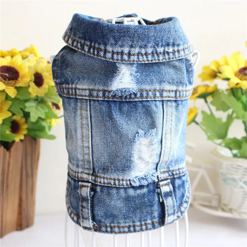 Cat Denim Vest Jacket - Casual Spring Autumn Pet Coat