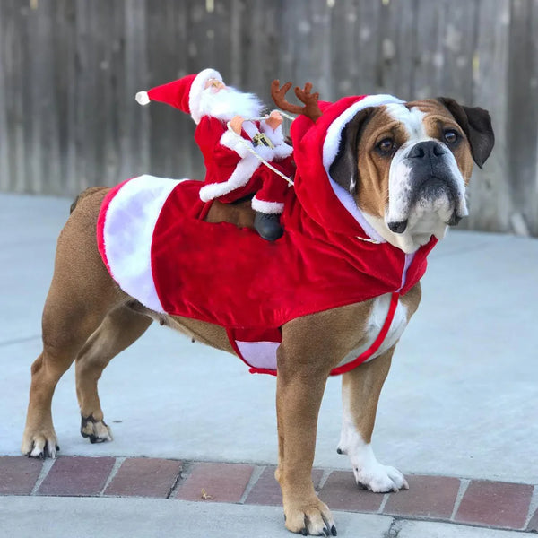 Funny Christmas Dog Costume Decoration - Santa Holiday Pet Outfit