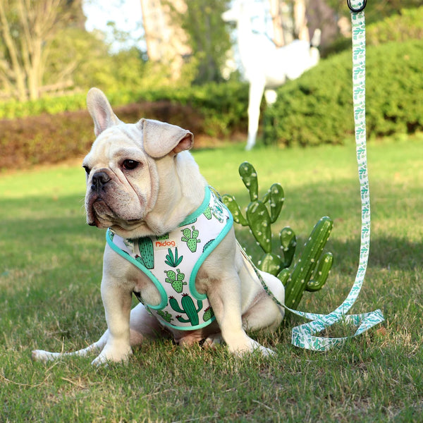 Printed Mesh French Bulldog Harness and Leash Set - Adjustable Puppy Vest
