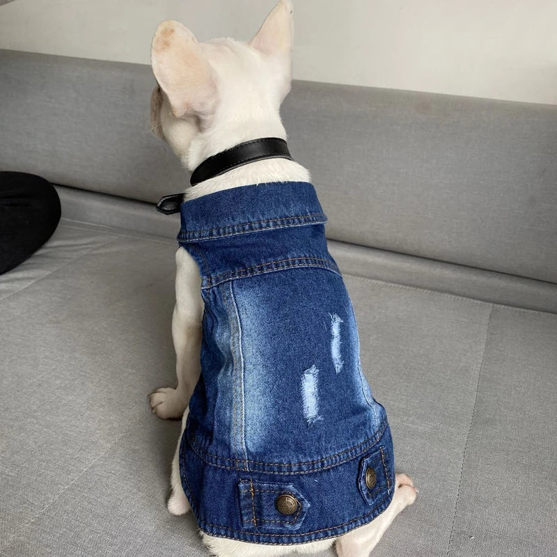 Cat Denim Vest Jacket - Casual Spring Autumn Pet Coat