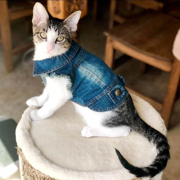 Cat Denim Vest Jacket - Casual Spring Autumn Pet Coat