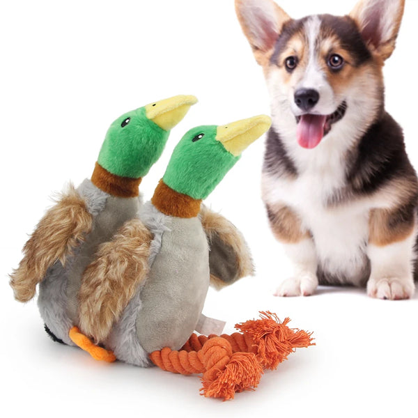 Plush Duck Squeaky Dog Toy - Rope Chew and Teeth Cleaning Toy