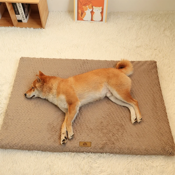 Orthopedic Foam Dog Bed - Faux Fur Washable Cover