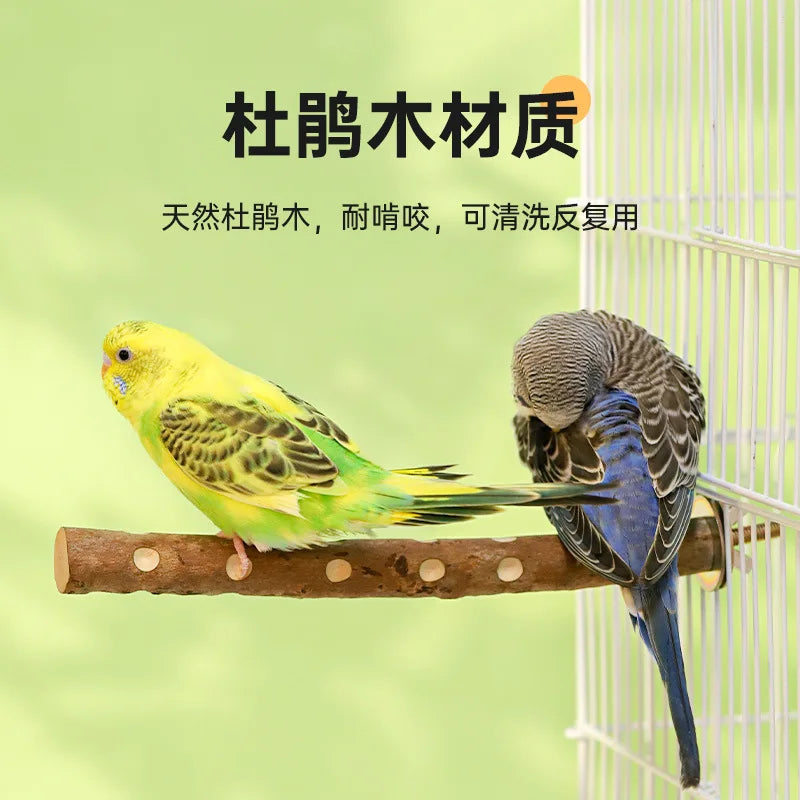 Natural Wood Bird Perch Stand - Grinding Branch for Budgies & Cockatiels