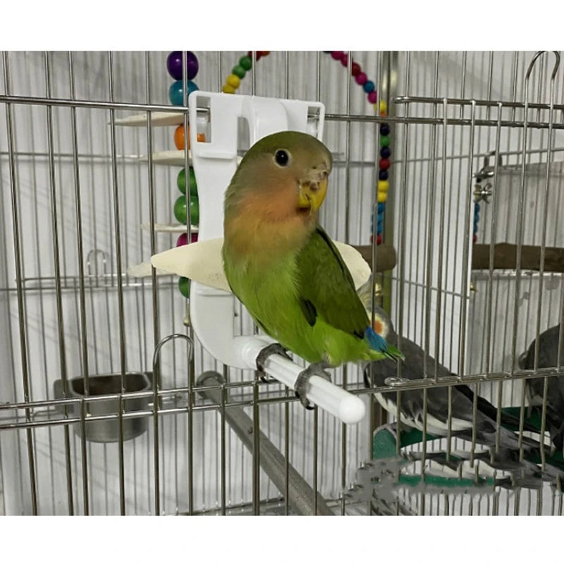 Bird Fruit & Cuttlebone Holder Clip - Cage Feeding Clamp