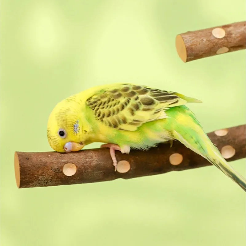 Natural Wood Bird Perch Stand - Grinding Branch for Budgies & Cockatiels