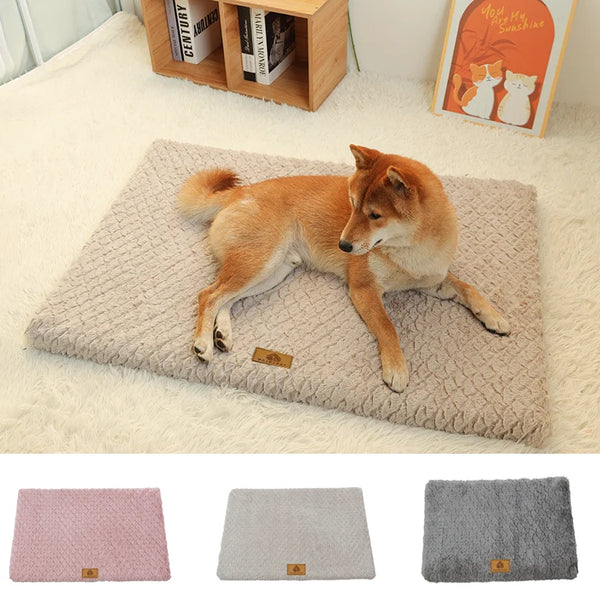 Orthopedic Foam Dog Bed - Faux Fur Washable Cover