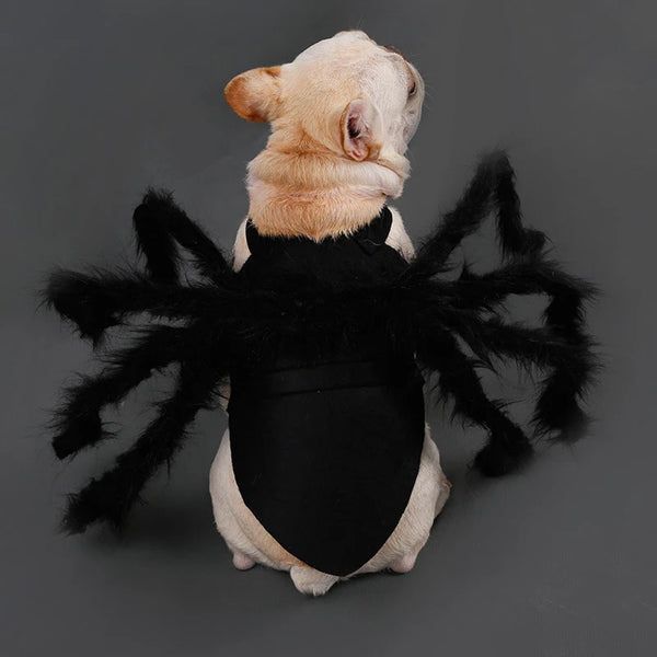 Funny Spider Pet Costume - Halloween Cosplay Outfit