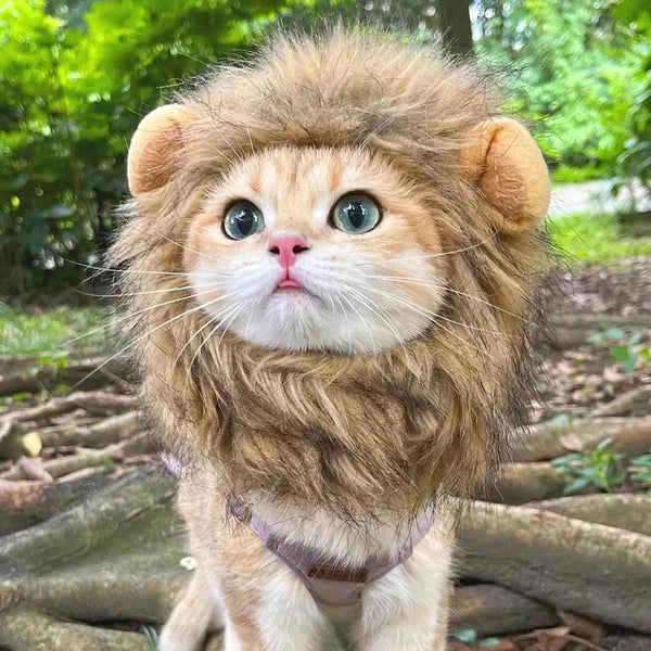 Lion Mane Cat Hat - Funny Pet Headgear for Photos and Parties