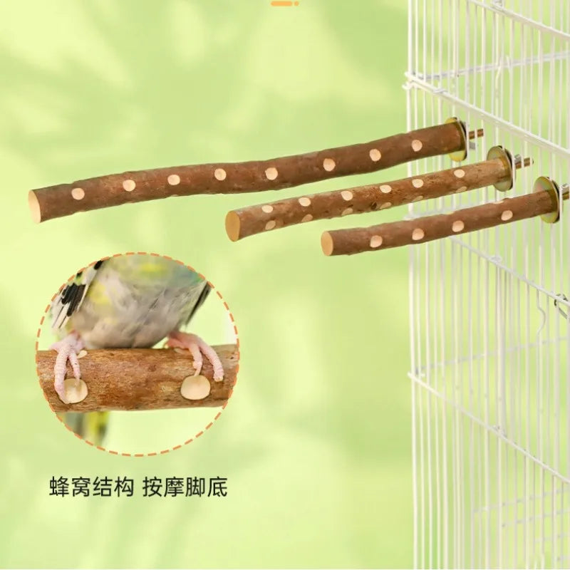 Natural Wood Bird Perch Stand - Grinding Branch for Budgies & Cockatiels