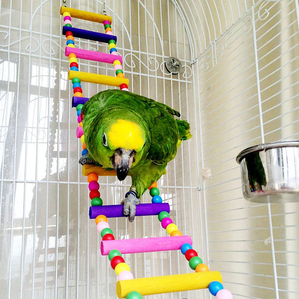 12-Step Colorful Bird Ladder Bridge - Hanging Climbing Toy