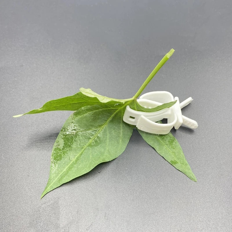 Bird Fruit & Cuttlebone Holder Clip - Cage Feeding Clamp