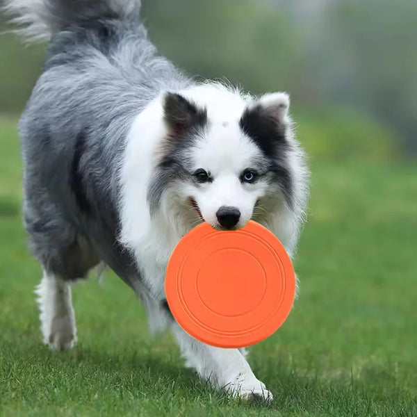 Soft Rubber Dog Frisbee - Tear-Resistant Flying Disc Toy