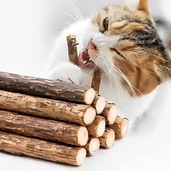 Natural Catnip Chew Sticks for Cats - Dental Boredom Relief Toy