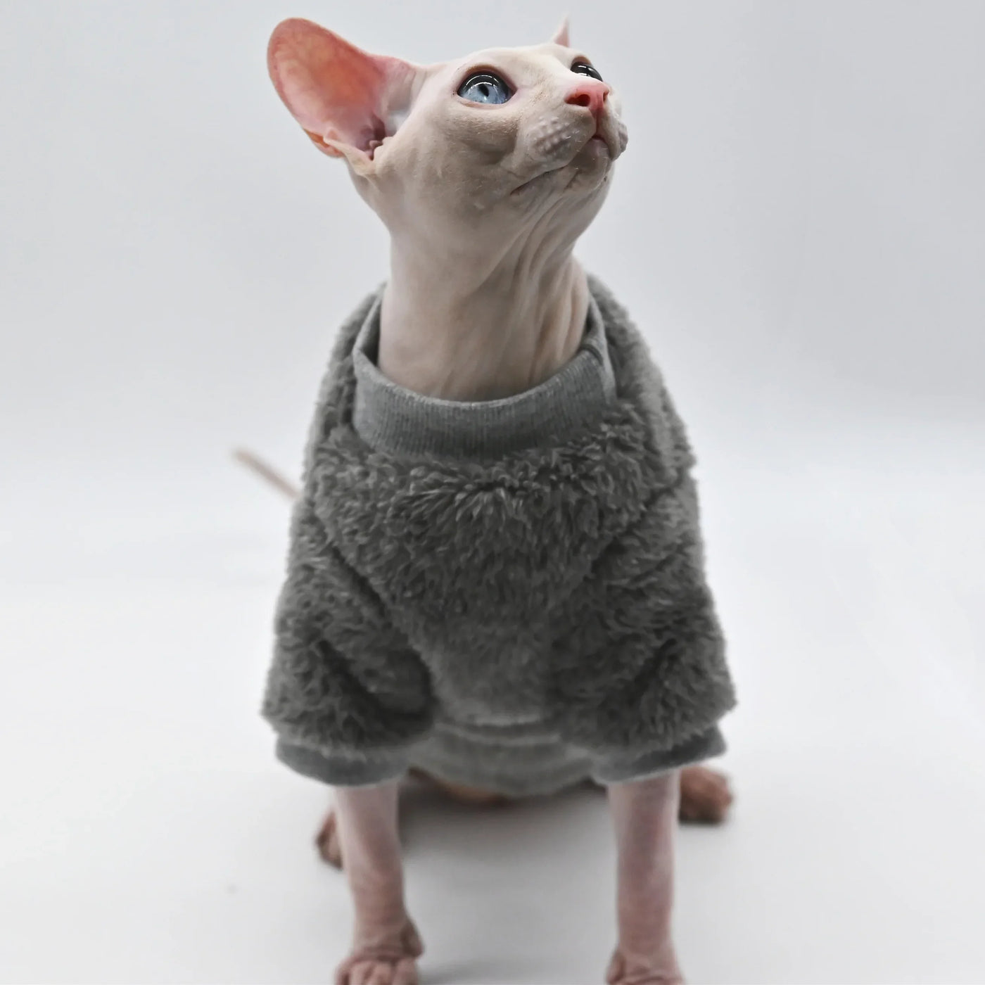 Double-Sided Fluffy Sphynx Cat Jacket - Thick Winter Coat