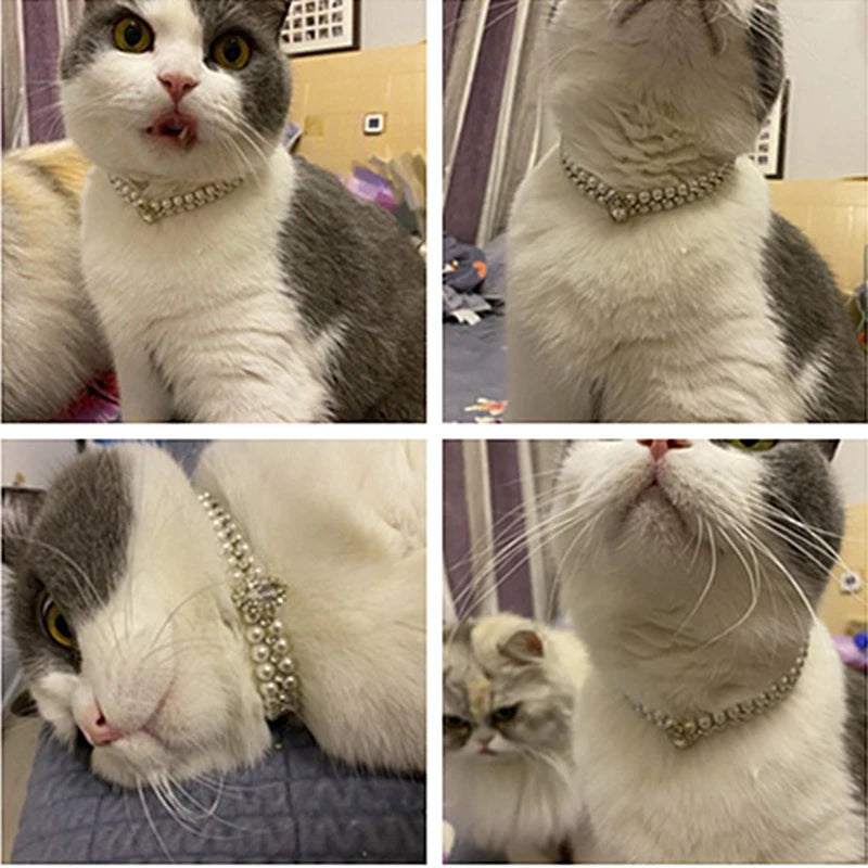 Pearl Rhinestone Pet Necklace Collar for Cats & Small Dogs