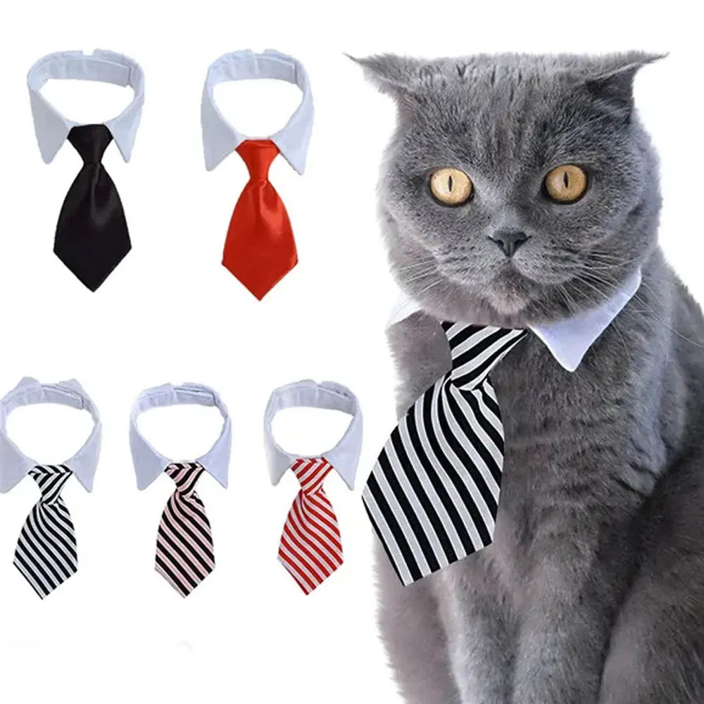 Adjustable Pet Bow Tie Collar - Formal Necktie for Small Dogs & Cats