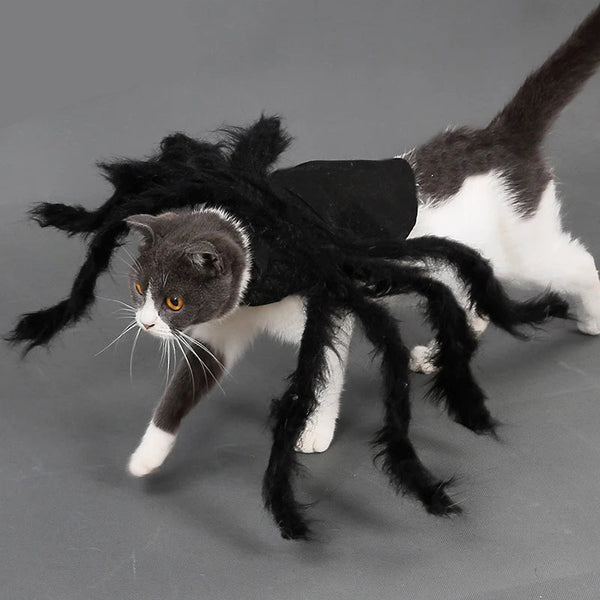 Funny Spider Pet Costume - Halloween Cosplay Outfit