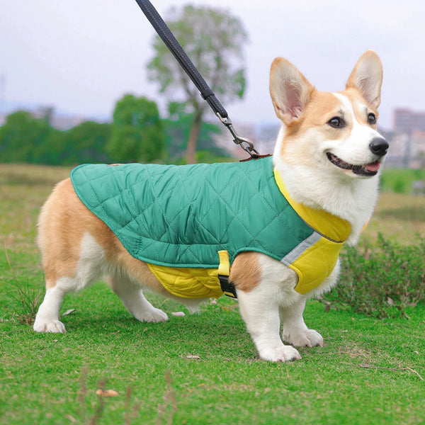 Waterproof Padded Dog Vest Jacket - Warm Winter Coat