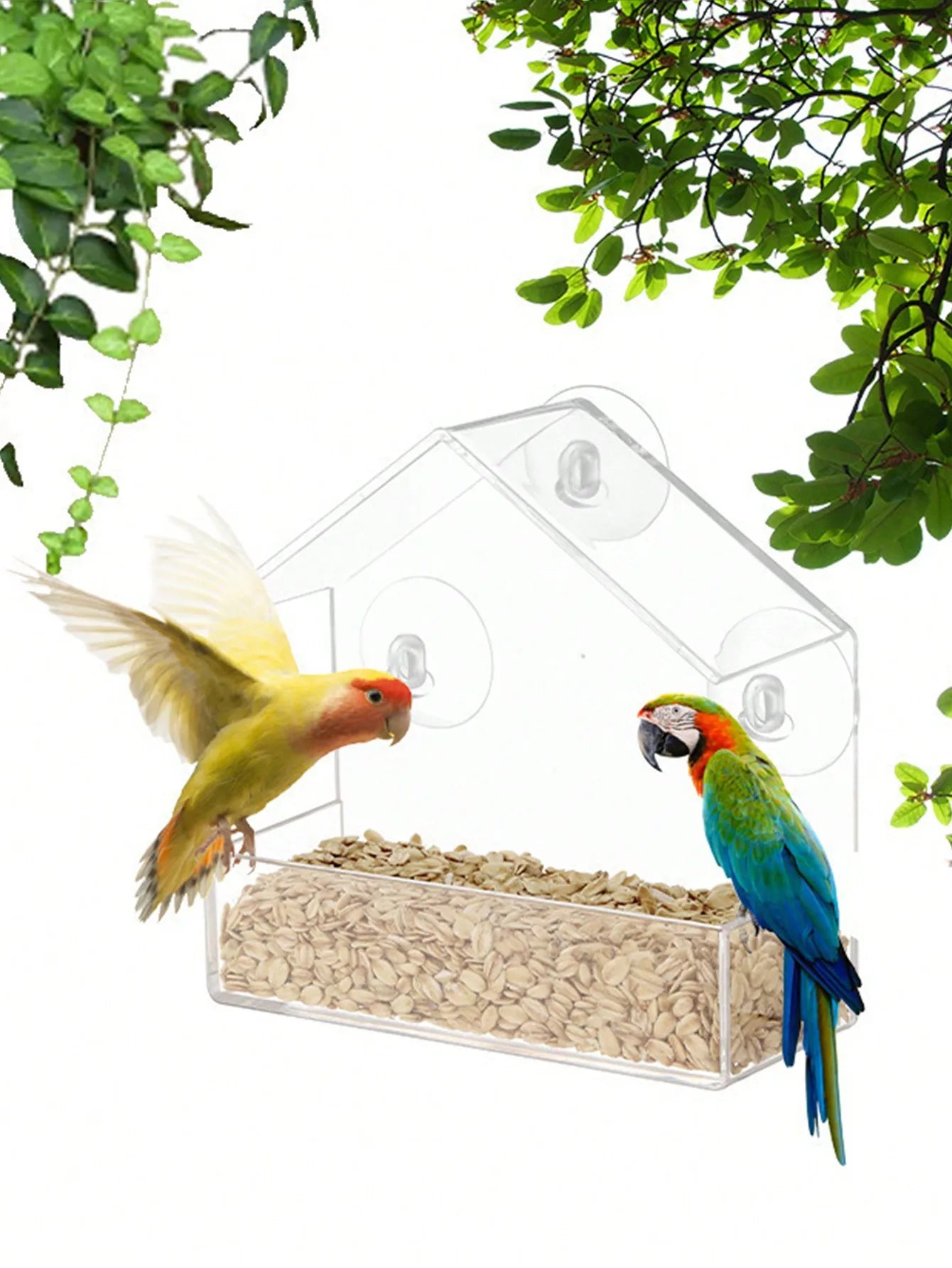 Clear Window Bird Feeder House - Outdoor Hanging Feeder for Wild Birds
