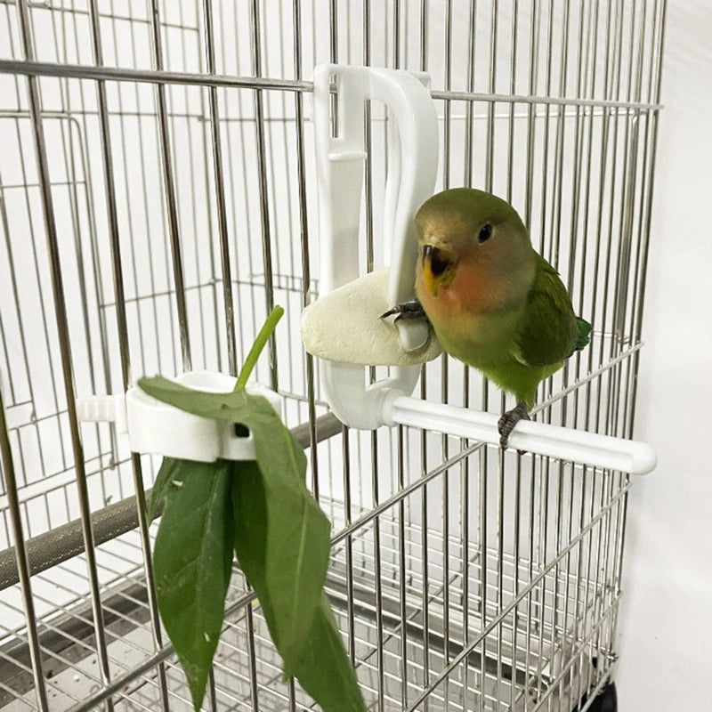 Bird Fruit & Cuttlebone Holder Clip - Cage Feeding Clamp